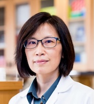 Qizhi Tang PhD